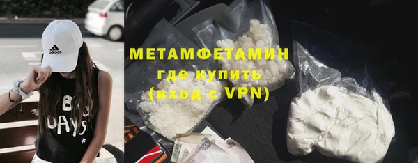 ПСИЛОЦИБИНОВЫЕ ГРИБЫ Заволжье