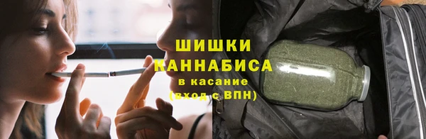 ПСИЛОЦИБИНОВЫЕ ГРИБЫ Заволжье