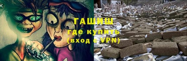 ПСИЛОЦИБИНОВЫЕ ГРИБЫ Заволжье
