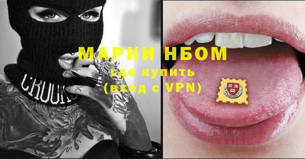ПСИЛОЦИБИНОВЫЕ ГРИБЫ Заволжье