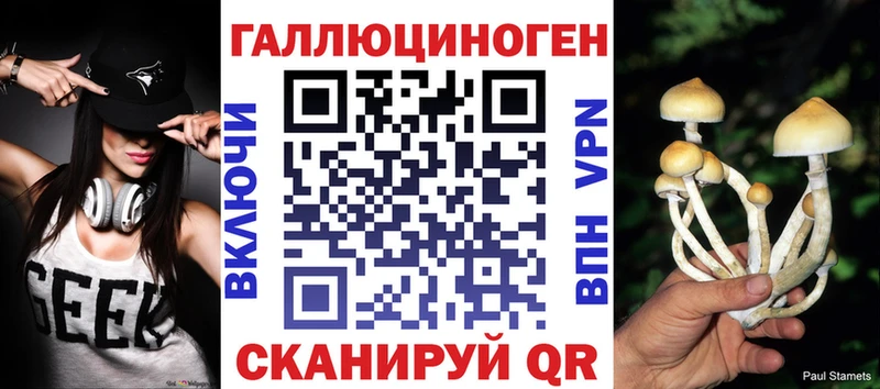 МЕГА как зайти хочу Курчатов Псилоцибиновые грибы мухоморы